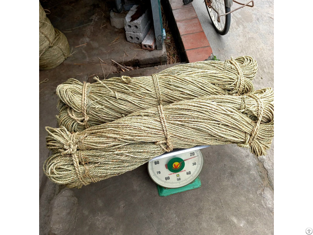 Raw Rattan Material For Export Ws 84 83 222 9601