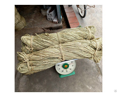 Raw Rattan Material For Export Ws 84 83 222 9601