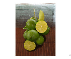 Looking For Vietnamese Green Seedless Lime Exporter