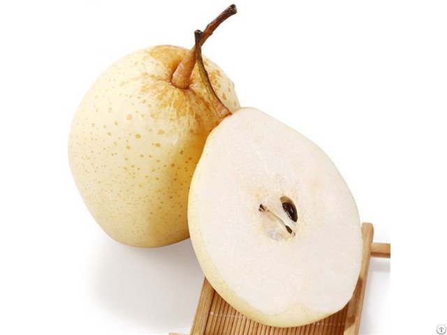 Chinese Ya Pear