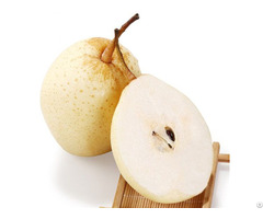 Chinese Ya Pear