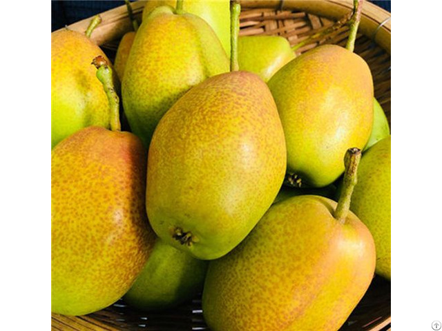 Chinese Fresh Pears