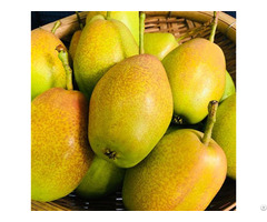 Chinese Fresh Pears