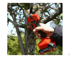 Electric Pruning Shears