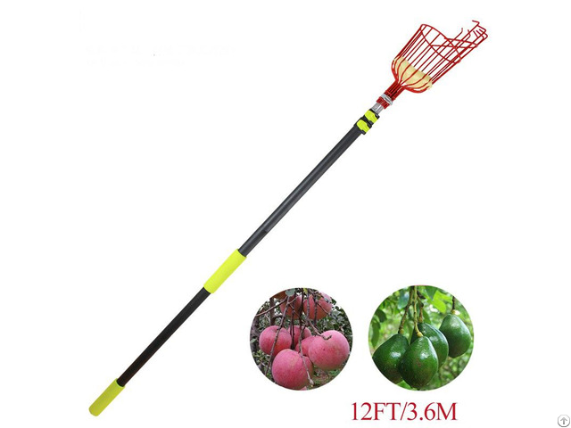 Telescopic Mango Picker