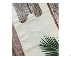 Custom Compostable Shopping Bags