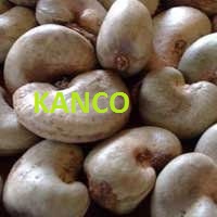Required Raw Cashew Nuts In Shell