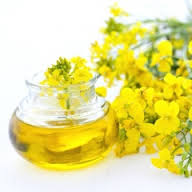 Rapeseeds Oil For Export