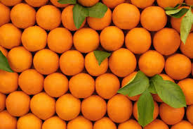 Need Orange We Import Oranges On Seasonal Basis