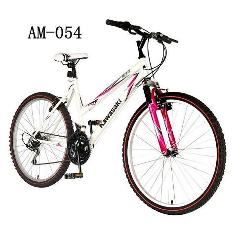 26 Inch Women S Mountain Bike