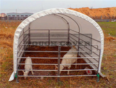 3m Wide Goat Tent Livestock