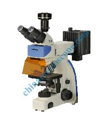 A F1 Flouorecent Microscope