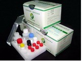 Aflatoxins B1 Elisa Test Kit