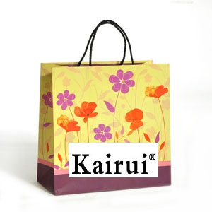 Afternoon Sunshine Flower Gift Paper Bag Kr202 4