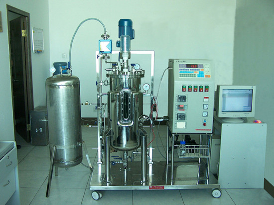 Anaerobic Sludge Automatic Bioreactor 10 31