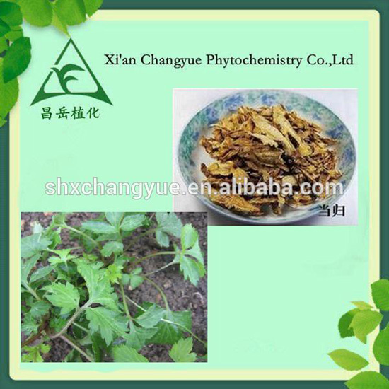 Angelica Sinensis Extract Natural Cosmetic Product