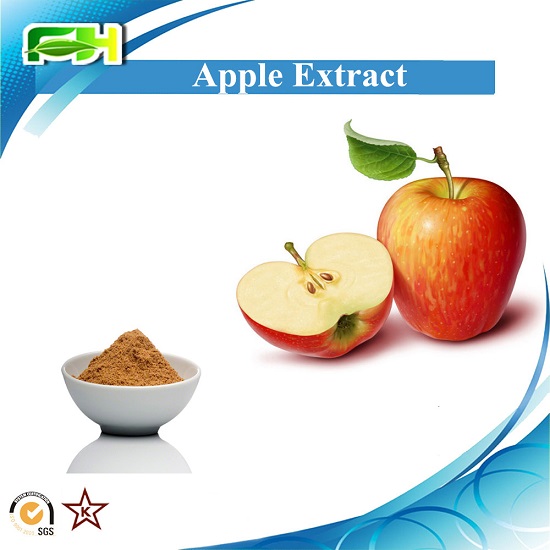 Apple Extract Polyphenols