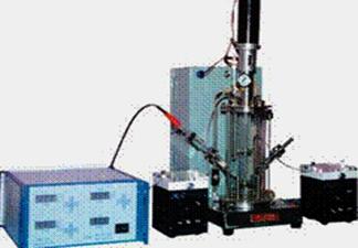 Auto Controlled Borosilicate Glass Plant Cell Bioreactor 11 23