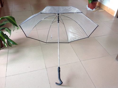 Auto Open And Close Transparent Straight Umbrella