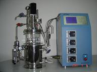 Automatic Mechanical Stirring Borosilicate Glass Bioreactor 6 22