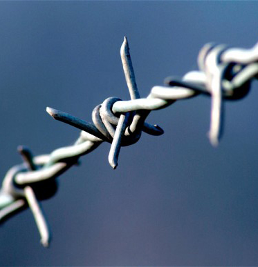 Barbed Wire For Sale With High Quality