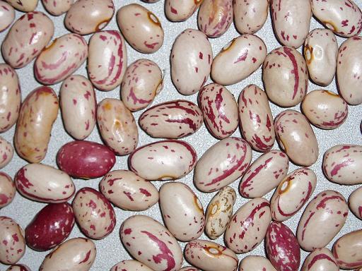 Beans Kidney Grade A Raw