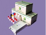 Benzyl Penicillin Elisa Test Kit
