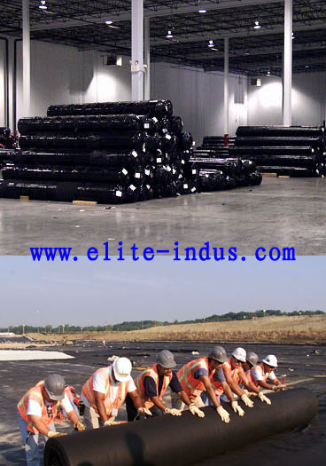 Best Price Pp Woven Geotextile