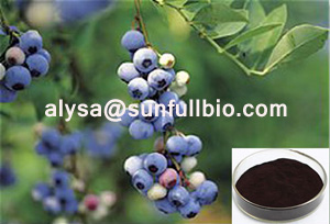 Bilberry Extract 25 Anthocyanidins