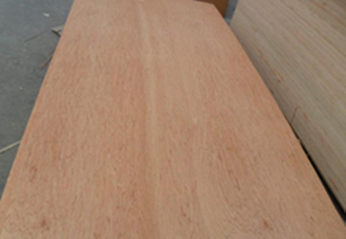 Bintangor Plywood Veneer Commercial Faced 1220x2440mm