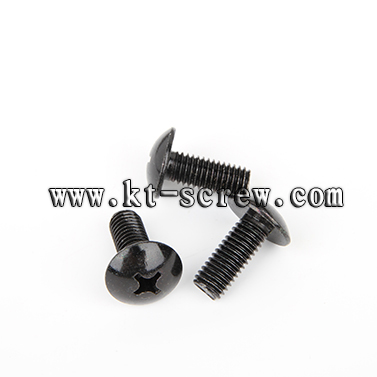 Black Oxide Truss Philip Head Laptop Screw With Iso Card