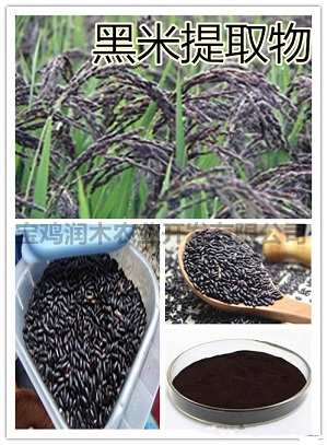 Black Rice Anthocyanidins 25 Uv