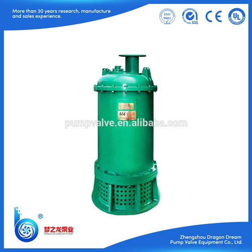 Bqs Bqw Flameproof Immersibleslush Water Pump