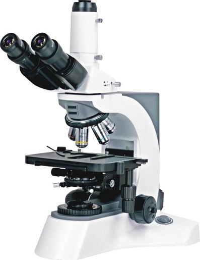 Bs 2080 Laboratory Biological Microscope