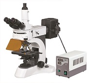 Bs 7000a Upright Fluorescent Biological Microscope