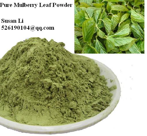 Bulk Sale 100 Pure Mulberry Leaf Powder Low Blood Pressure Diabetes Friendly Loose Weight