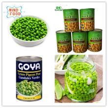 Canned Green Peas In Good Quality