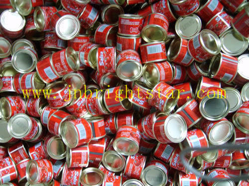 Canned Tomato Ketchup In 400g