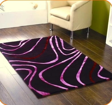 Carpet Rug Wiht Modern Design