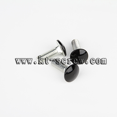 Carriage Bolt Laptop Screw With Iso Card