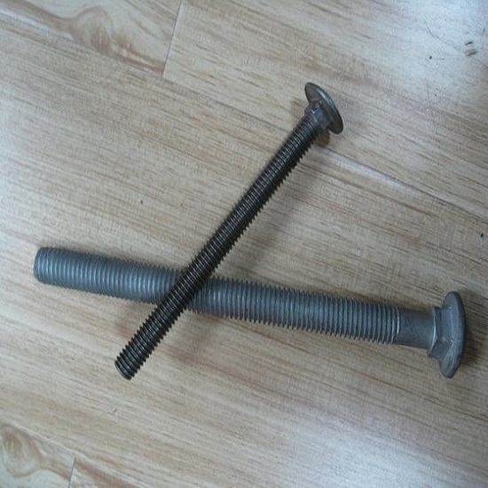 Carriage Bolts Din603 Stainless Steel
