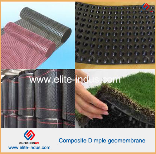 Cheap Price Drainage Board Hdpe Composite Dimple Geomembrane