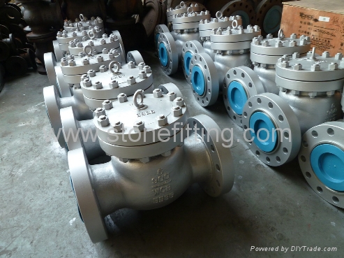 Check Valve Pipe Fitting