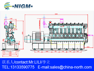 China 1000kw 4000kw Natural Gas Diesel Generator