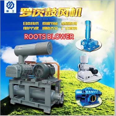 China Cheap Roots Blower High Pressure Rotary