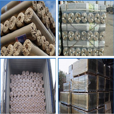 China Good Supplier Stainless Steel Wire Mesh Wove Netting Anti Rust Factory Lists