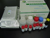Chloramphenicol Cap Elisa Test Kit