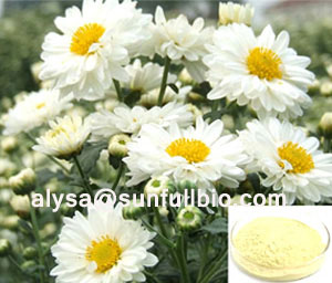 Chrysanthemum Extract Acid Food Bean