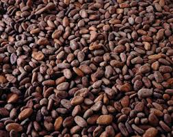 Cocoa Powder Butter Liqour Beanscocoa For Sale