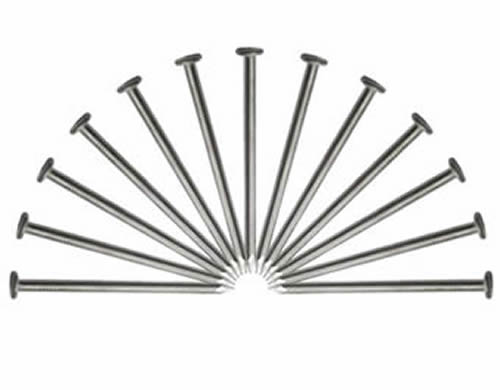 Common Nails Popular For General Construction And Building